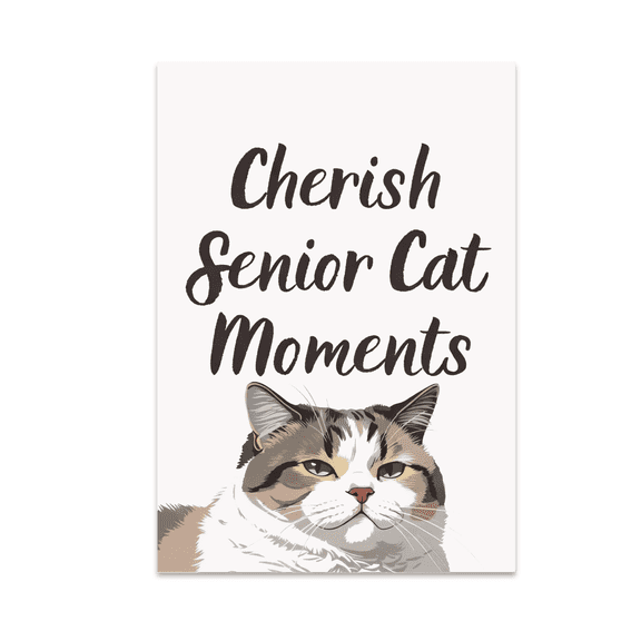 Cherish Senior Cat Moments Art - Aging Cat Care Enthusiast - 13x19 Poster Print