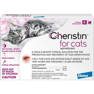 Flea dip for cats walmart hot sale
