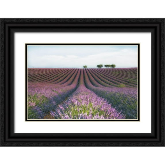 Chernilova, Margarita 32x23 Black Ornate Wood Framed with Double Matting Museum Art Print Titled - Velours De Lavender