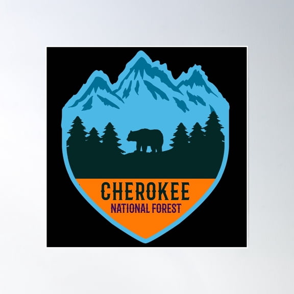 Cherokee National Forest Poster Wall Art, Modern Wall Decor, 16x16 UNFRAMED