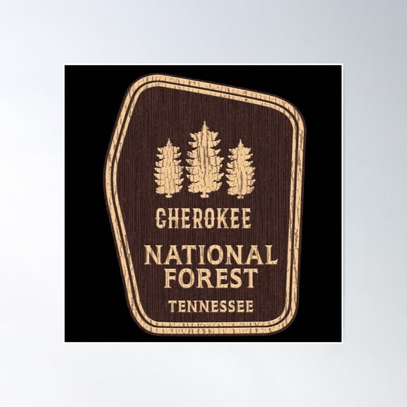 Cherokee National Forest Poster Wall Art, Modern Wall Decor, 16x16 UNFRAMED