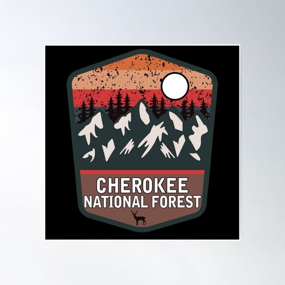 Cherokee National Forest Poster Wall Art, Modern Wall Decor, 16x16 UNFRAMED