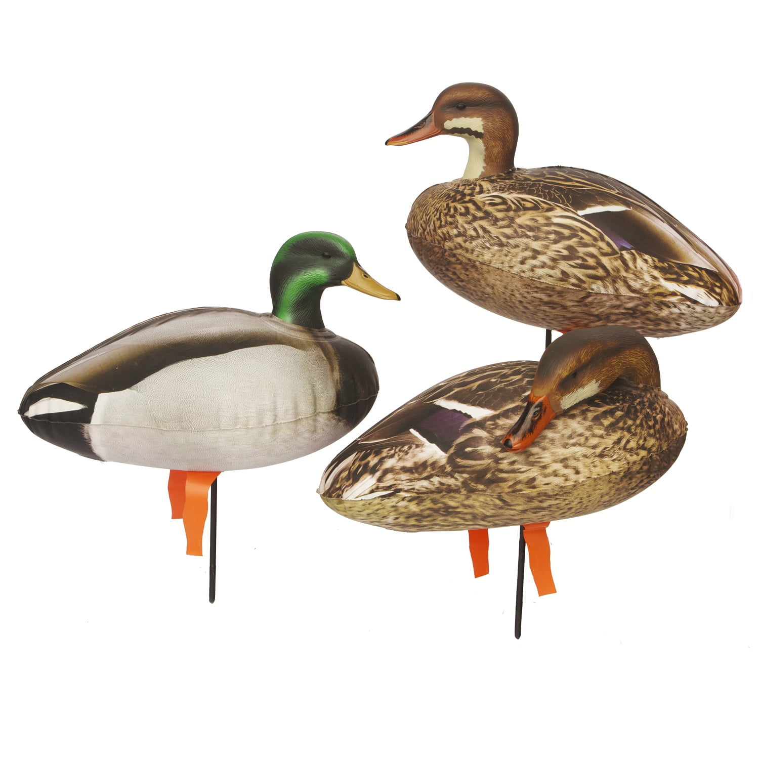 Cherokee Sports Full Bodied Mallard Decoys 6 Pack