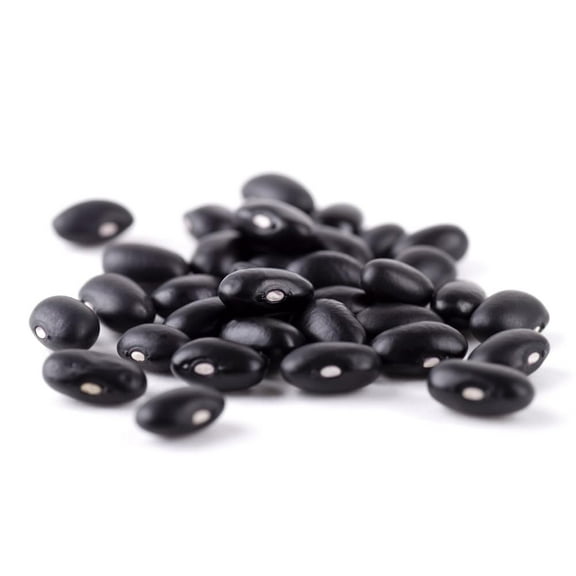 Cherokee Trail of Tears Bean Seeds for Planting (20 Seeds) - Delicious and Easy to Grow