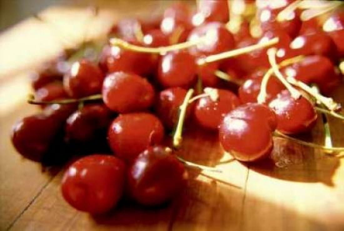 Cherries I Canvas Art - Bob Stefko (20 x 28)