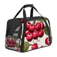 thumbnail image 1 of Cherry 900D Oxford Cloth Pet Carrier for Small Dogs and s - Durable Fabric Travel Bag with Nylon Webbing Handles - 17x10x11.8 Inches, Black, 1 of 7