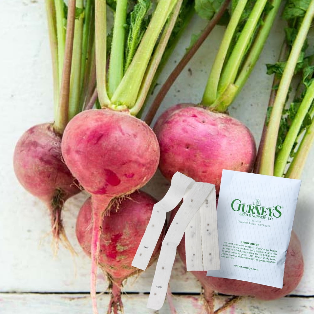 Cherry Belle Radish 2 seed tapes measuring 7.5 feet long each