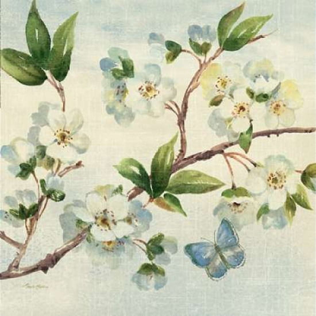 Cherry Bloom II Canvas Art - Pamela Gladding (24 x 24)