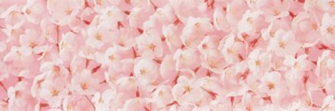 Cherry Blossom Canvas Art - Panoramic Images (18 x 6)