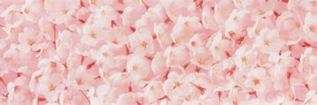 Cherry Blossom Canvas Art - Panoramic Images (36 x 12)