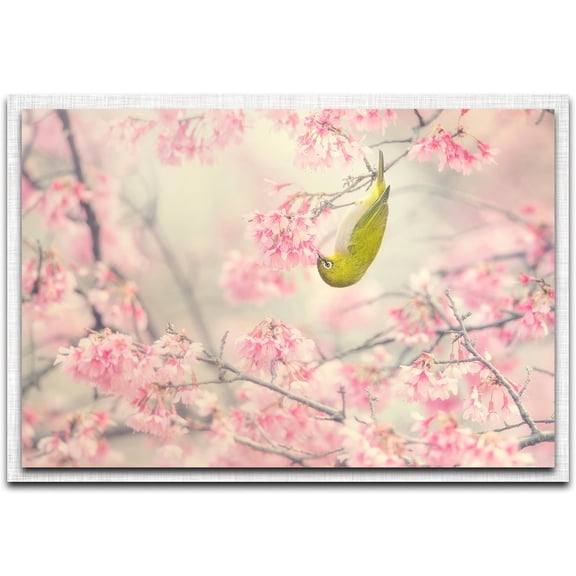 Cherry Blossom Color Parchment Frame