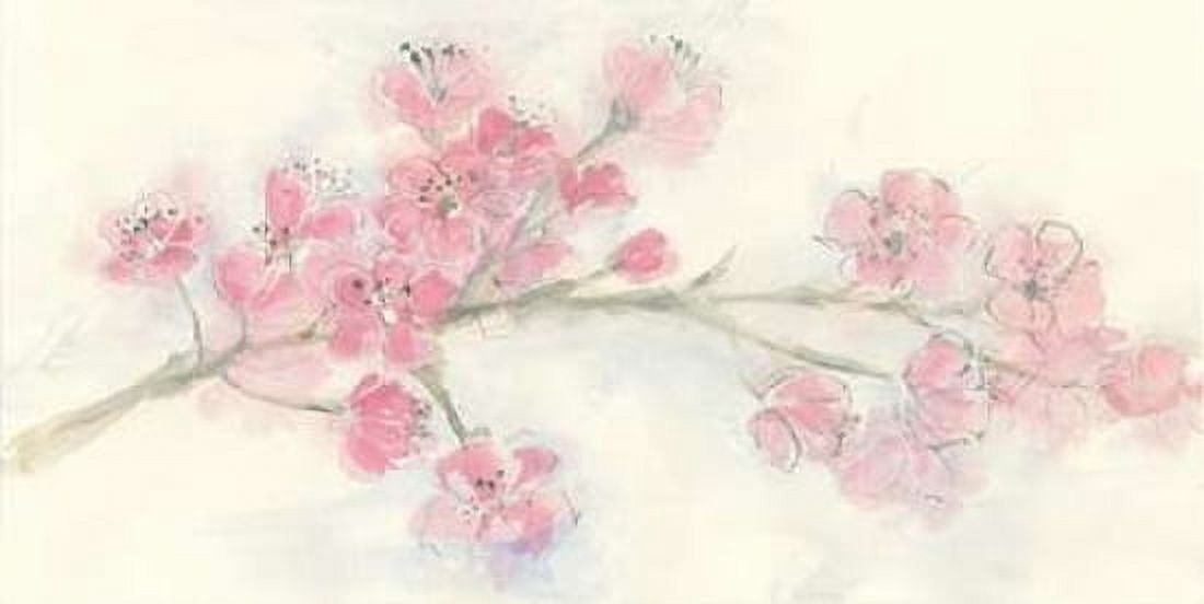 Cherry Blossom I Canvas Art - Chris Paschke (10 x 20)