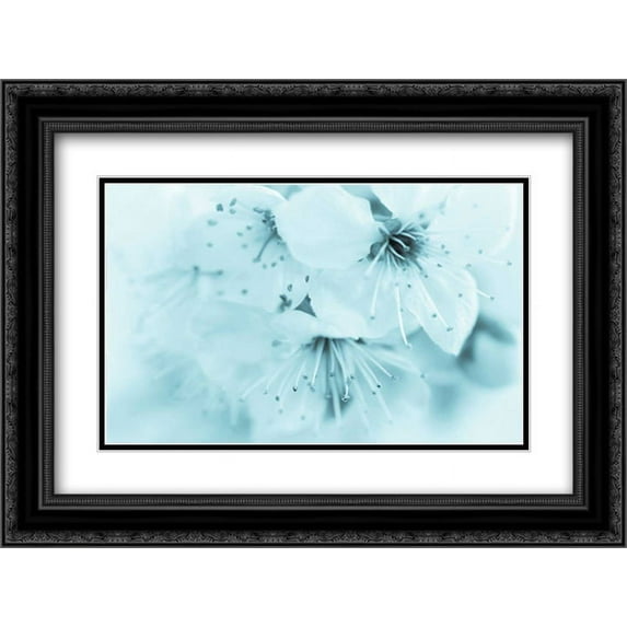 Cherry Blossom II 2x Matted 24x18 Black Ornate Framed Art Print by Mahan, Kathy