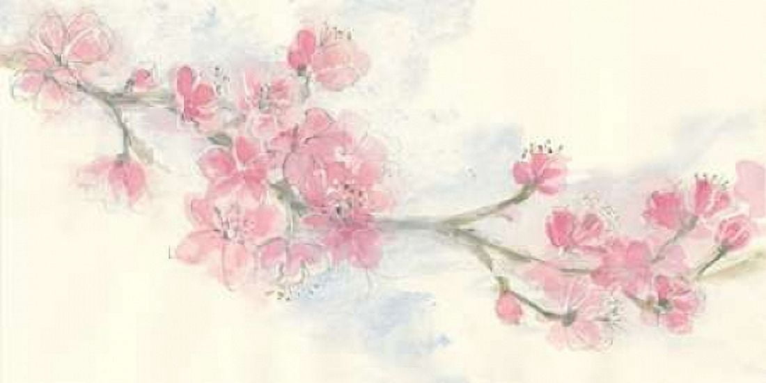 Cherry Blossom II Canvas Art - Chris Paschke (24 x 48)