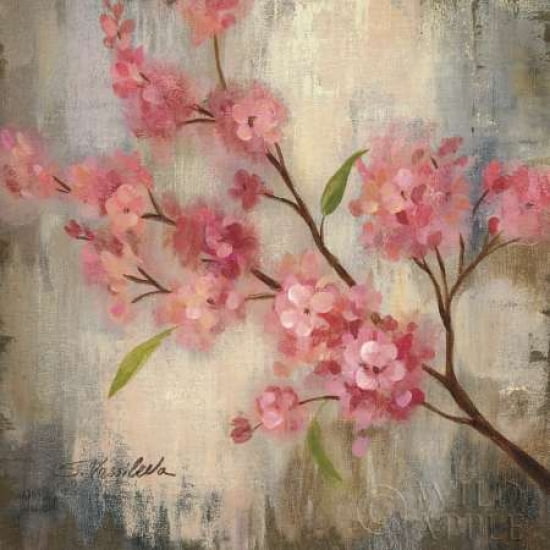 Cherry Blossom II Canvas Art - Silvia Vassileva (24 x 24)