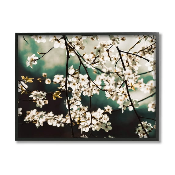 Cherry Blossom Nature Photography Botanical & Floral Photograph Black Framed Art Print Wall Art