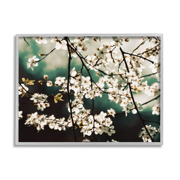 Cherry Blossom Nature Photography Botanical & Floral Photograph Gray Framed Art Print Wall Art