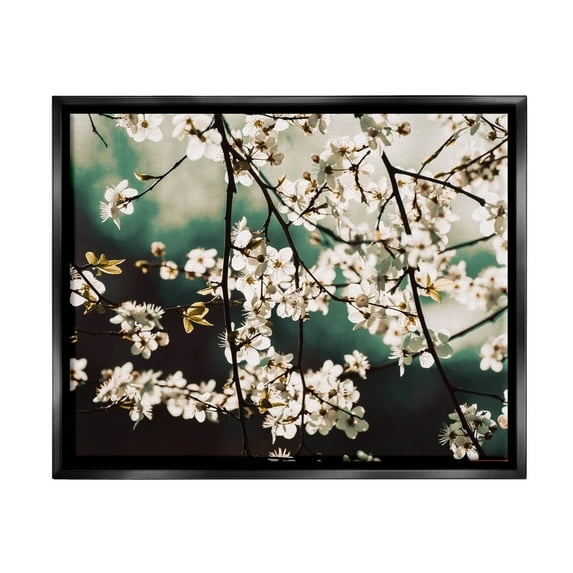 Cherry Blossom Nature Photography Botanical & Floral Photograph Jet Black Framed Art Print Wall Art