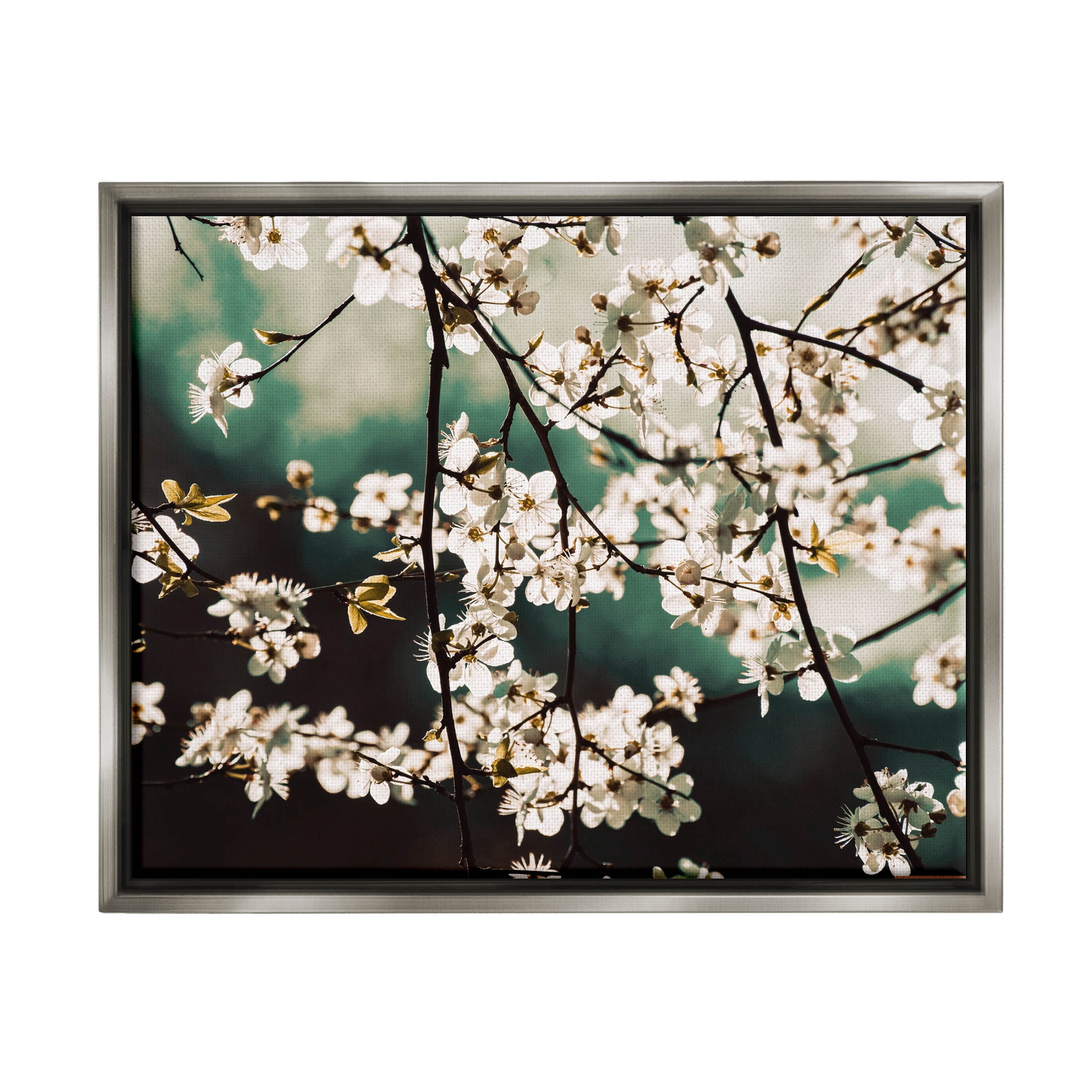 Cherry Blossom Nature Photography Botanical & Floral Photograph Luster Gray Framed Art Print Wall Art