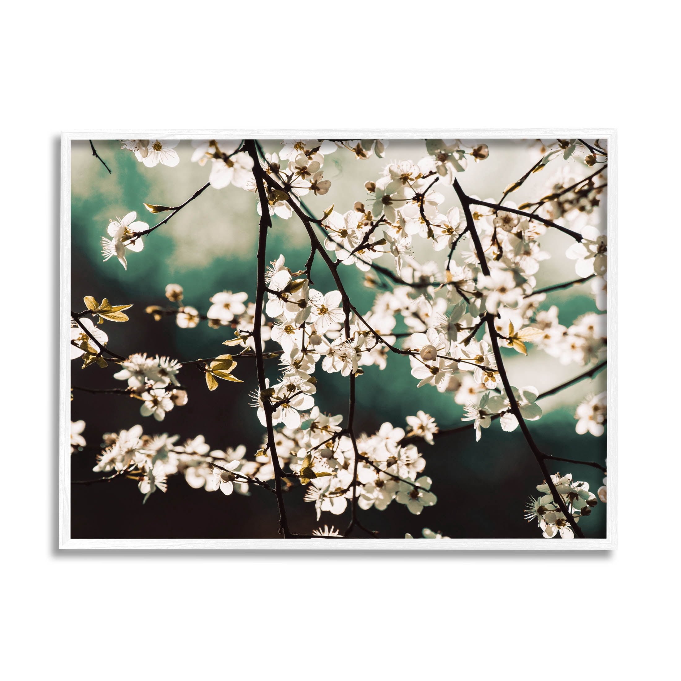 Cherry Blossom Nature Photography Botanical & Floral Photograph White Framed Art Print Wall Art