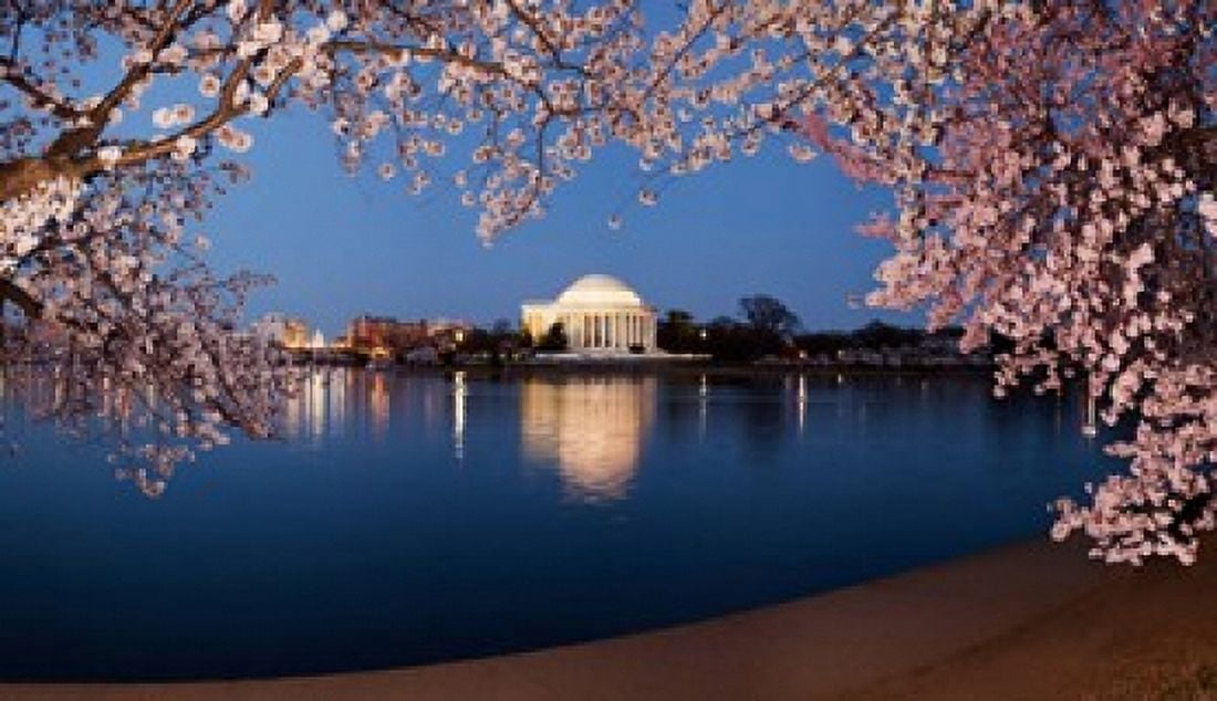 Cherry Blossom tree with a memorial in the background Jefferson Memorial Washington DC USA Canvas Art - Panoramic Images (36 x 21)