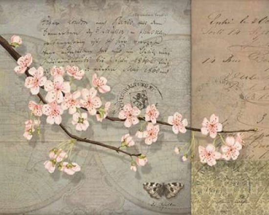 Cherry Blossoms Canvas Art - Lynnea Washburn (24 x 30)