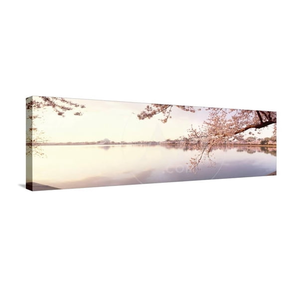 Cherry Blossoms at the Lakeside, Washington DC, USA, Scenic Stretched Canvas Wall Art Sold by Art.Com