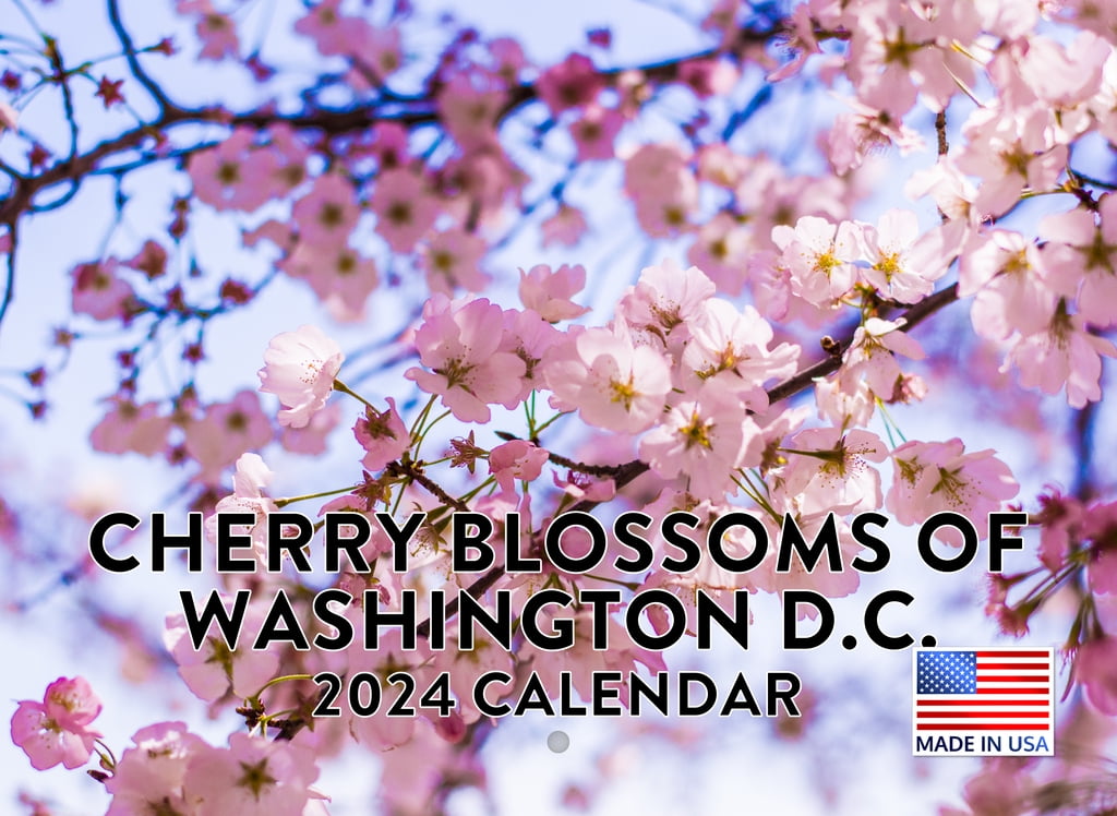 Cherry Blossoms of Washington DC 2024 Wall Calendar Cherry Blossoms of