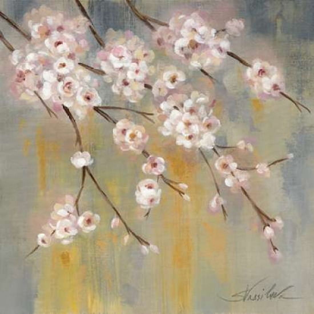 Cherry Cloud II Canvas Art - Silvia Vassileva (24 x 24)