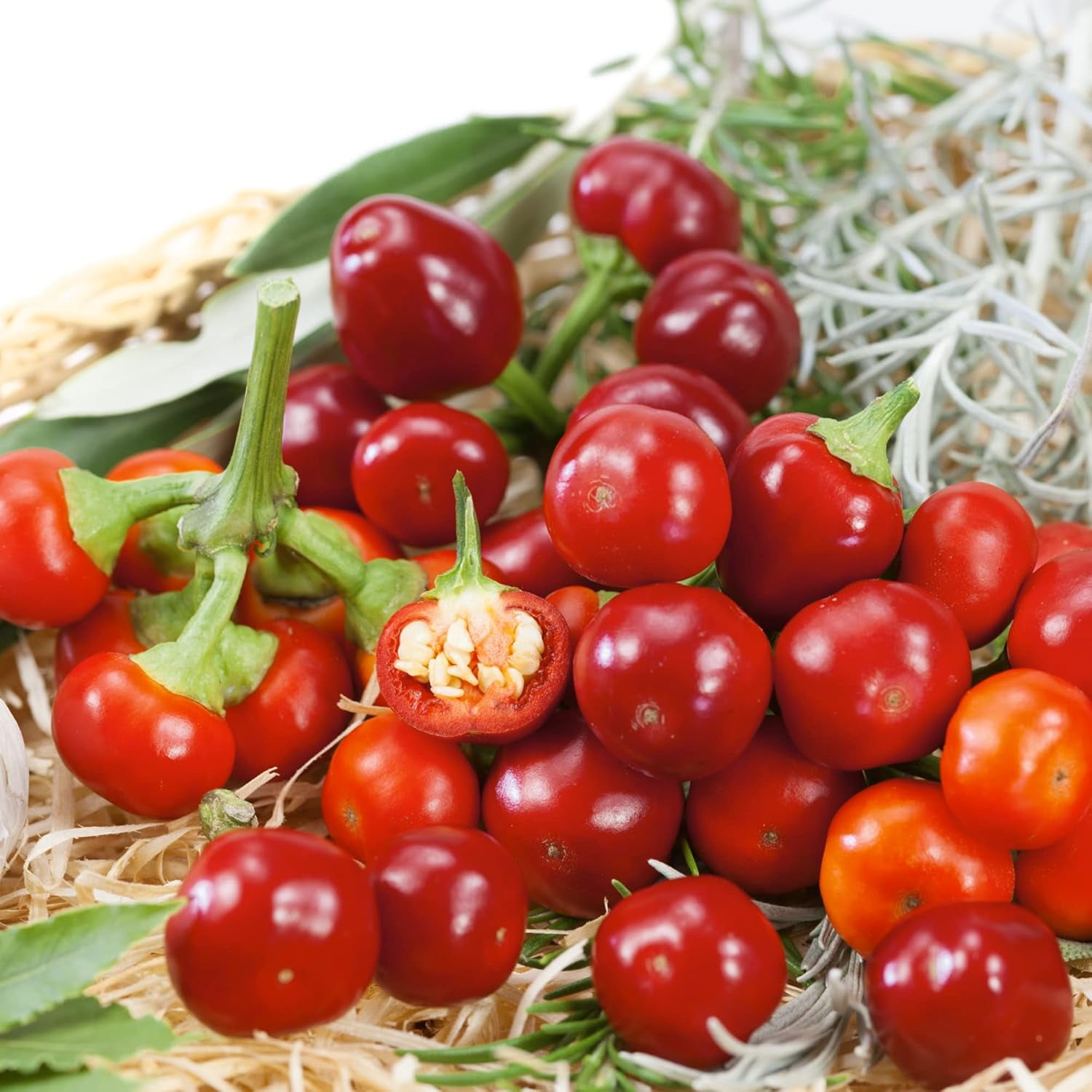 Cherry Mini Hot F1 Hybrid Hot Pepper Seeds 0.25 Oz 1000 Seeds NonGMO, F1 Hybrid