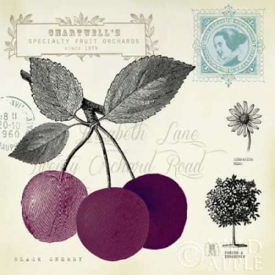Cherry Notes Canvas Art - Studio Mousseau (24 x 24)