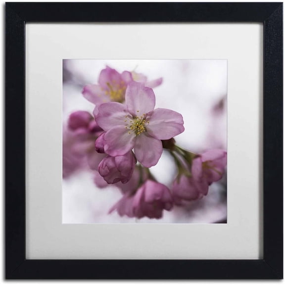 "Cherry Pink" Canvas Art by Kurt Shaffer, White Matte, Black Frame
