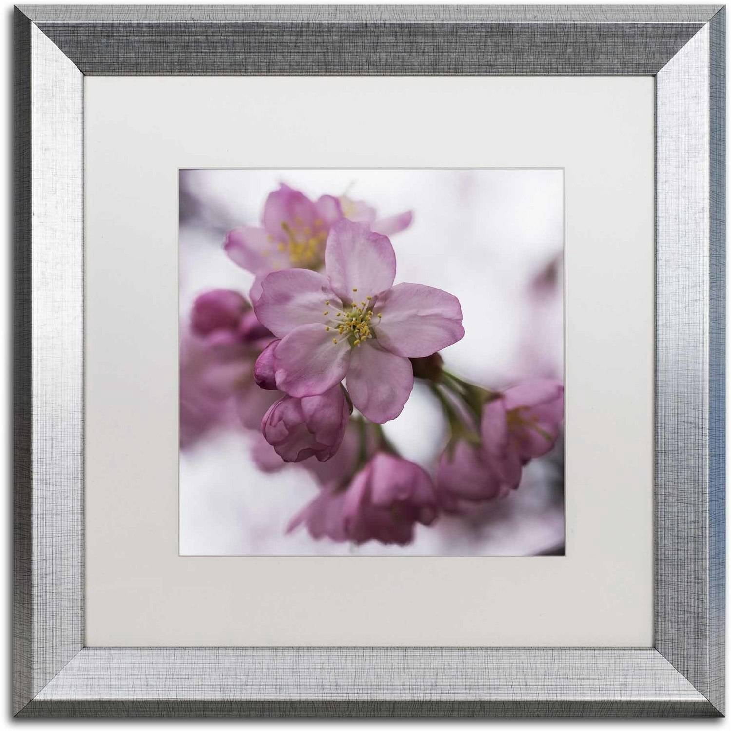 "Cherry Pink" Canvas Art by Kurt Shaffer, White Matte, Silver Frame