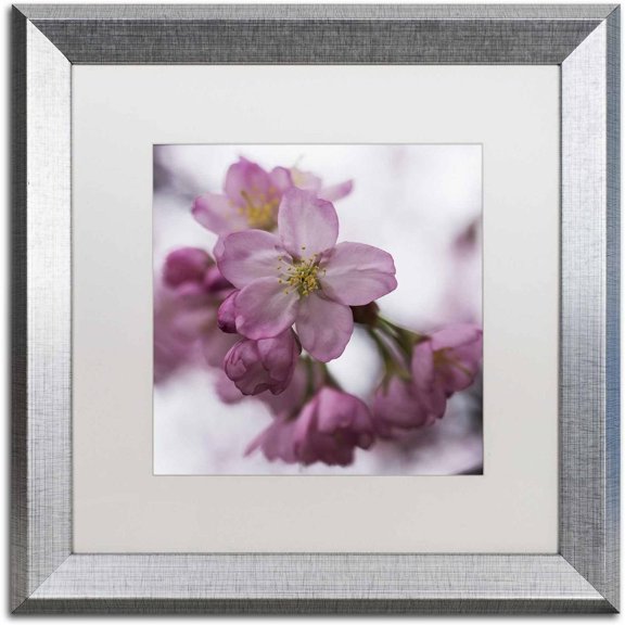 "Cherry Pink" Canvas Art by Kurt Shaffer, White Matte, Silver Frame