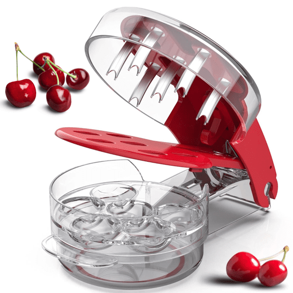 Cherry Pitter Tool, Olive Jujube Pitter Tool, Pitter Stone Seed Remover, 6 Stainless Steel Rods with Lock Design, Enjoy to Use and Clean