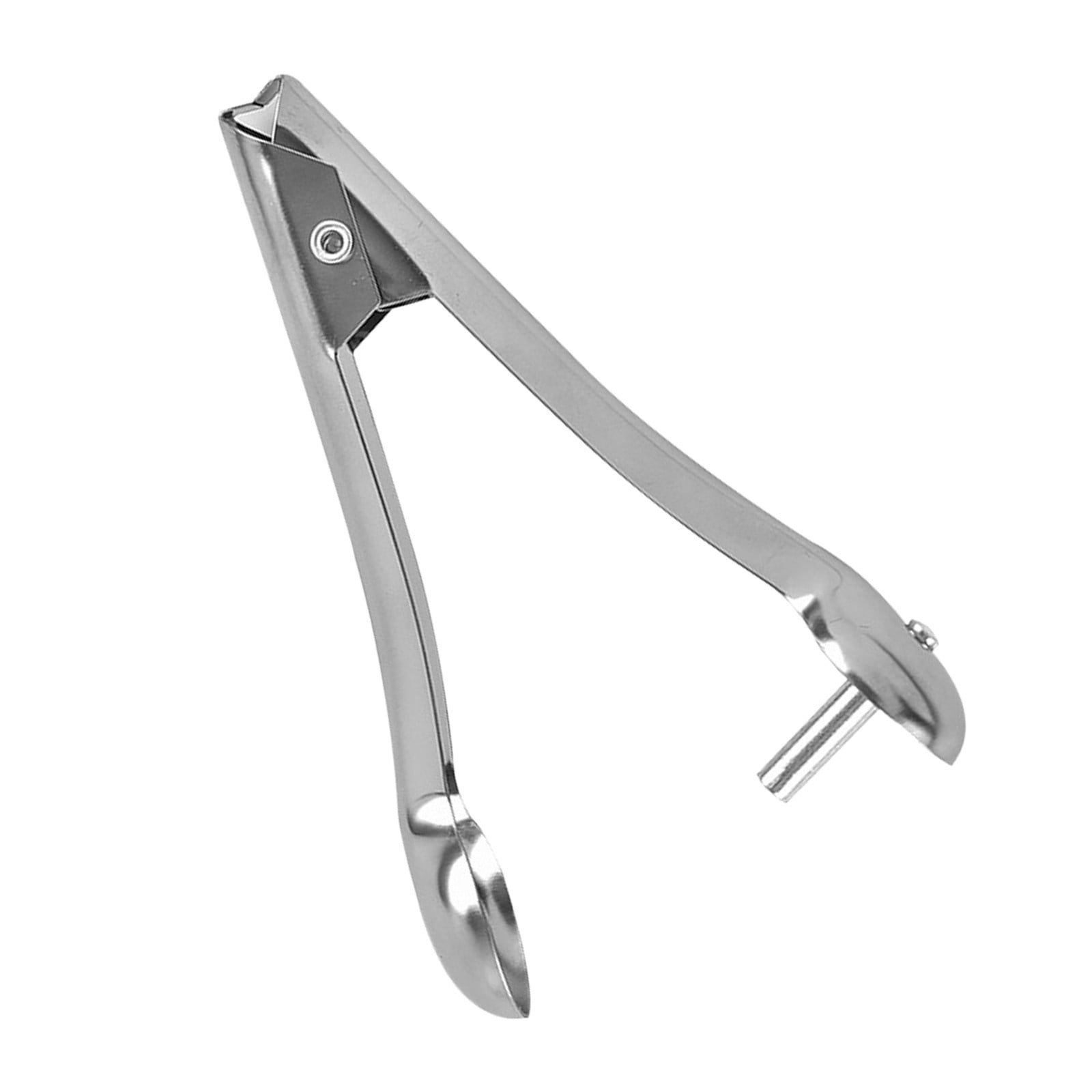 Cherry Pitter Tool Stainless Steel Cherry Pitter Portable Cherry Remover Kitchen Pitter For