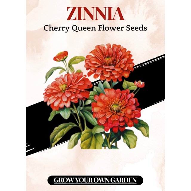 Cherry Queen Zinnia Flower 15 Seeds Heirloom NonGMO Organic