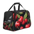 thumbnail image 1 of Cherry Sherpa-Lined Fabric Dog Carrier, 17x10x11.8 in, 900D Oxford Cloth & Nylon Webbing, 43x26x30 cm, 1 of 7