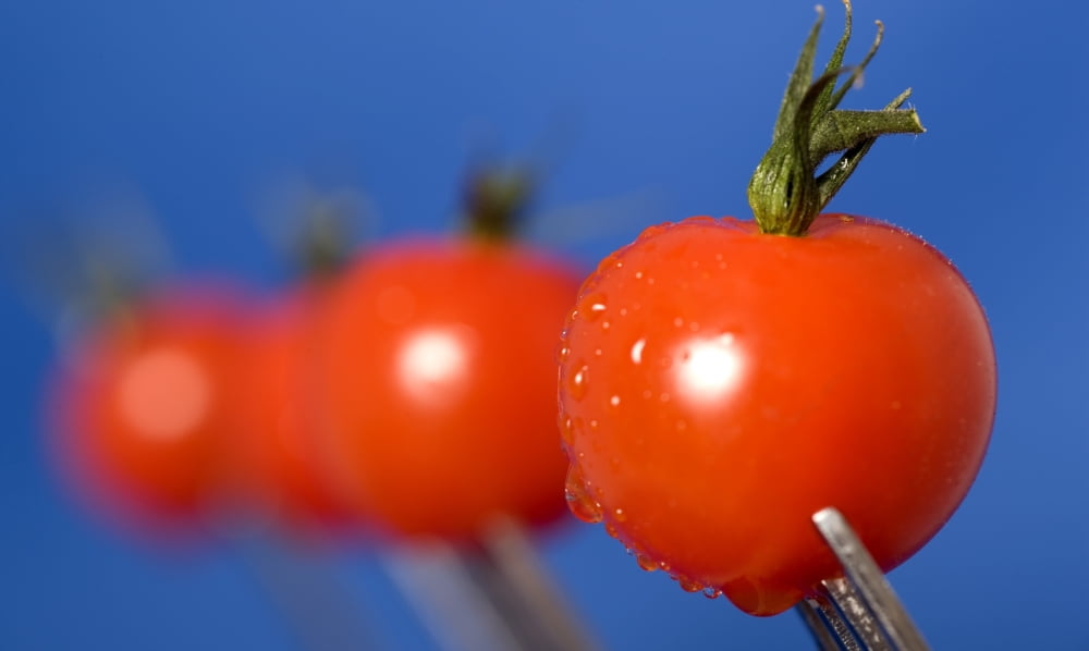 Cherry Tomatoes Canvas Art - John Short Design Pics (40 x 24)
