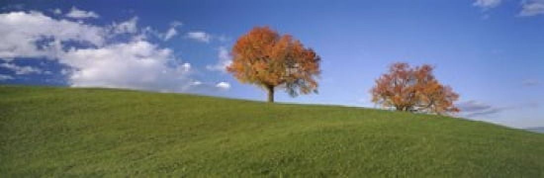 Cherry Trees On A Hill Cantone Zug Switzerland Canvas Art - Panoramic Images (18 x 6)