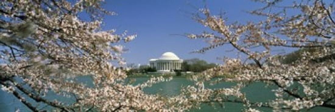 Cherry blossom with memorial in the background Jefferson Memorial Tidal Basin Washington DC USA Canvas Art - Panoramic Images (18 x 6)