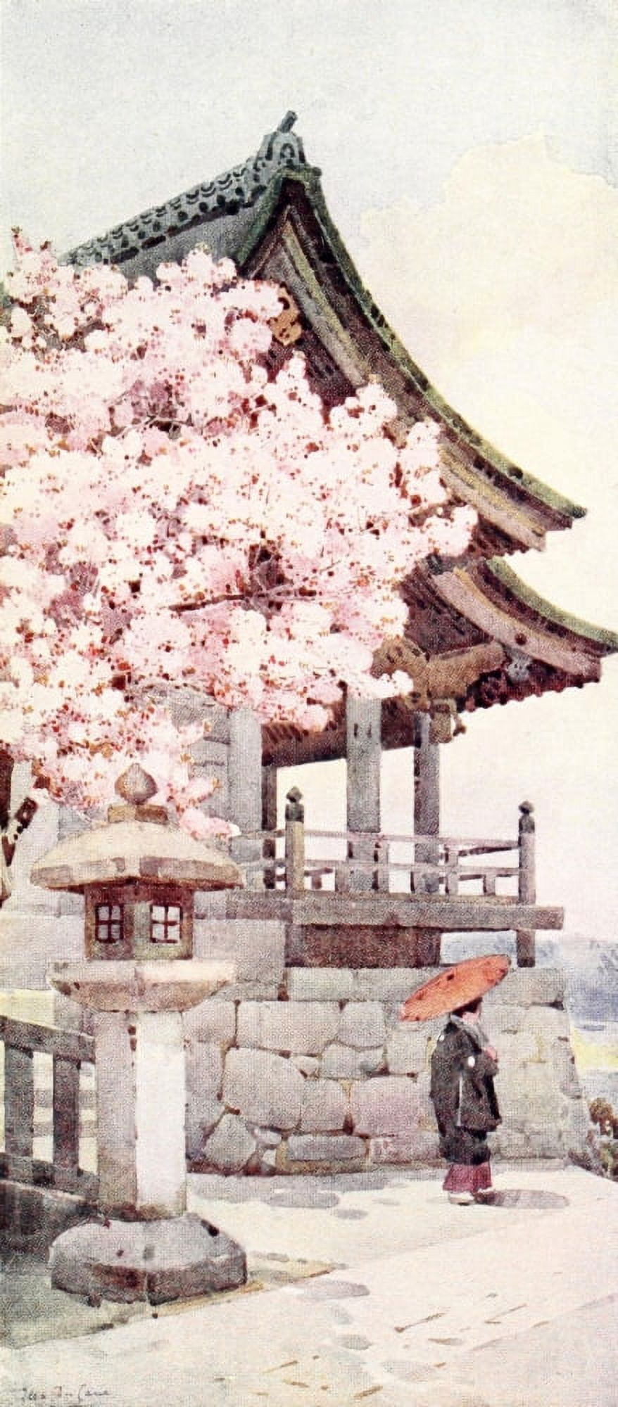 Cherry tree at Kyomidzu Flowers & Gardens of Japan 1908 Canvas Art - Ella Du Cane (18 x 24)