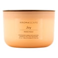 thumbnail image 1 of Chesapeake Bay Candle, Coffee Table 3-Wick Jar Candles | Joy (Mango Peach), 1 of 4