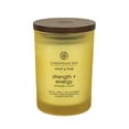 thumbnail image 1 of Chesapeake Bay Candle Scented Candle, Strength + Energy (Pineapple Coconut) Coffee Table, 1 of 6