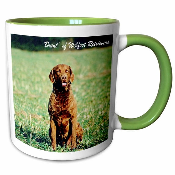 3drose, Chesapeake Bay Retriever, 11oz Two-tone Green Mug