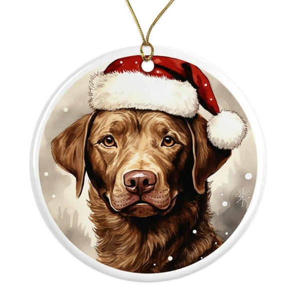 Chesapeake Bay Retriever Dog Ornament - Pet Ornament for Christmas Tree - 3" Round Ceramic - Printed in USA - Puppy New Dog - Dog Mom - Dog Dad - Pet Owner - Xmas Decoration DOG059