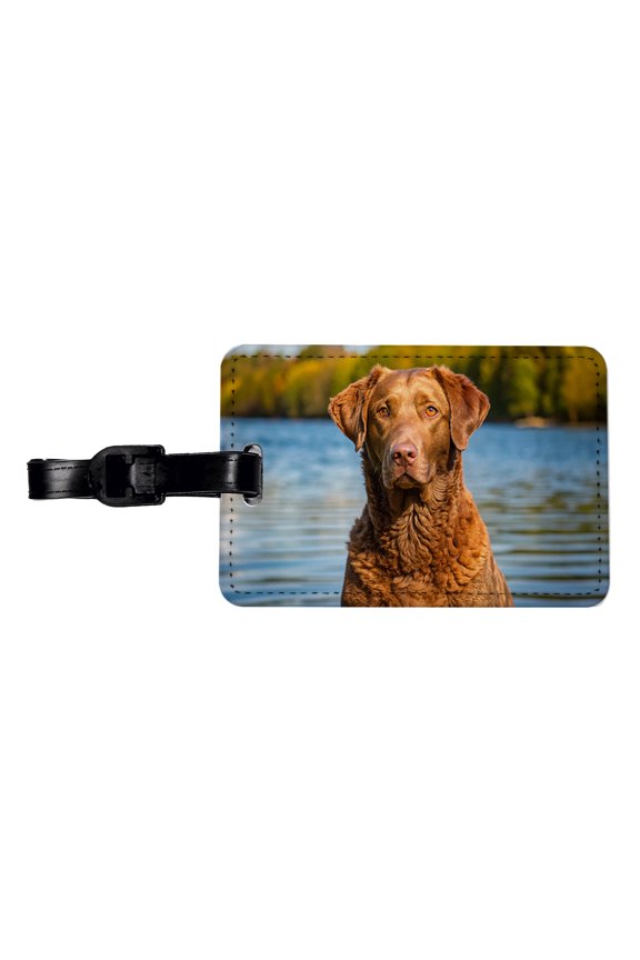 Chesapeake Bay Retriever Dog Photo Faux Leather Travel Luggage Tag