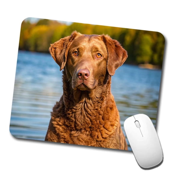 Chesapeake Bay Retriever Dog Photo Mouse Pad Low Profile Gaming Mat