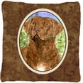 thumbnail image 1 of Chesapeake Bay Retriever Indoor & Outdoor Fabric Decorative Pillow, 1 of 1
