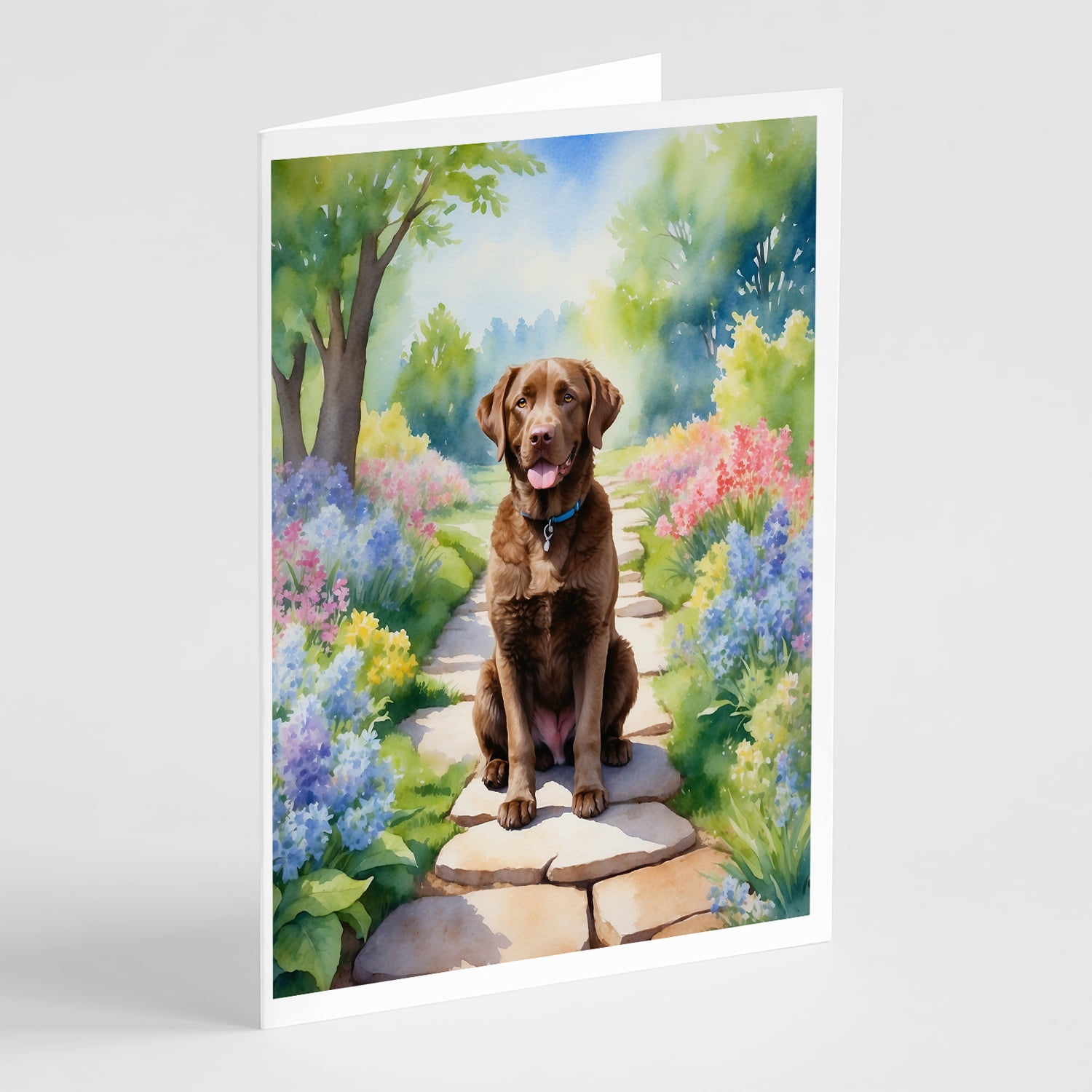 Chesapeake Bay Retriever Spring Path Greeting Cards Pack of 8 7 in x 5 in